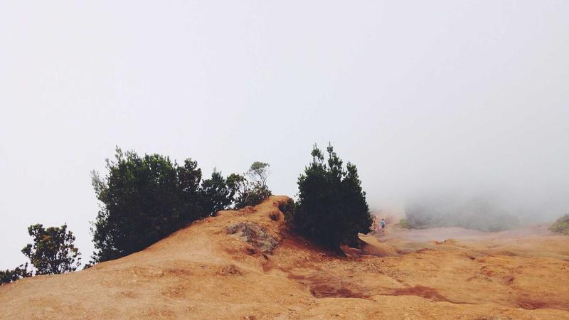 Caixa paga Bolsa Família a beneficiários com NIS de final 8